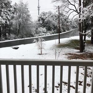 Meet your Posher, Nitisha